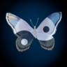 Sign Of Light and Darkness Trophy