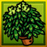 Green Thumb Trophy