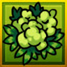 Major Herb Head Trophy
