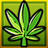 Sweet Leaf Trophy