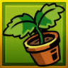 They Grow So Fast Trophy