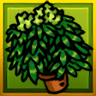 Green Thumb Trophy
