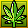 Sweet Leaf Trophy