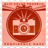 Shutter Bug Trophy