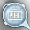I Beat PUBG Trophy