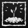 Discovered the truth Trophy