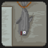 This is fishy! Trophy