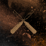 Fixer-Upper Trophy
