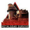 Defender Trophy