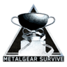 Hero Trophy
