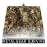 Surveyor Trophy