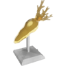 Million-Hare Trophy