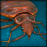 Keep up, Dunebug Trophy