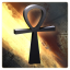 Born Survivor Trophy