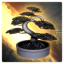 Inner Beauty Trophy
