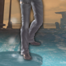 Chapter 8 Complete Trophy