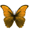 The Fateful Descent Trophy