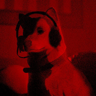 The Goodest Boi Trophy