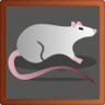 Rat-Catcher Trophy