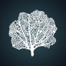 Because We Scan: Atoll Trophy