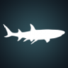 Reef Shark Madness Trophy