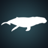 Whale, Whale, Whale... Trophy