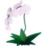 You've Gotta Be Orchiding Me Trophy