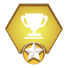 Next Time It'll Be Flawless! Trophy