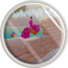 Snowball Arena Pro Trophy