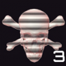 Three Down Trophy