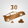 Stuntman Trophy