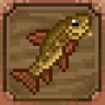 A fish a day! Trophy