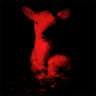 Lost Little Lamb Trophy