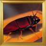 Cockroach Trophy