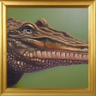 Crocodile Trophy