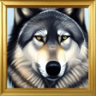 Wolf Trophy