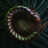 DEATH 3 Trophy