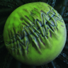 NO STONE UNTURNED Trophy