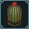 Cactus! Trophy