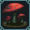 Mushroom! Trophy