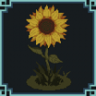 Sunflower! Trophy