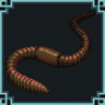 Worm Trophy