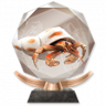 Living Your Best Life Trophy