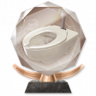 Not a Total Waste Trophy