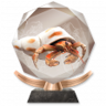 Living Your Best Life Trophy