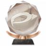 Not a Total Waste Trophy