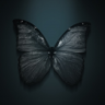 Dark Water Trophy