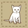 Love for Kittens Trophy