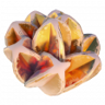 Botanist Trophy