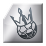 Spectacular come-back Trophy